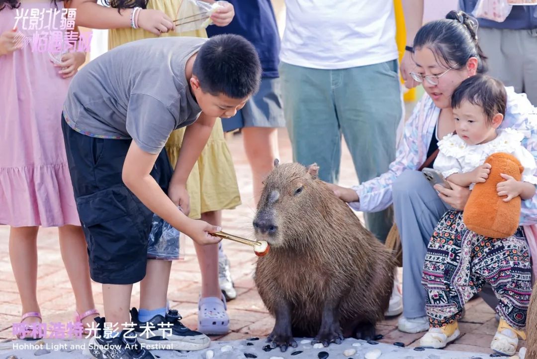 4x4x4x任意燥cjwico直播