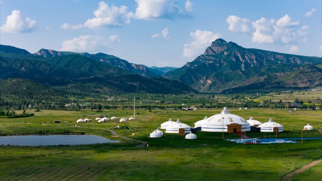 4x4x4x任意燥cjwico直播