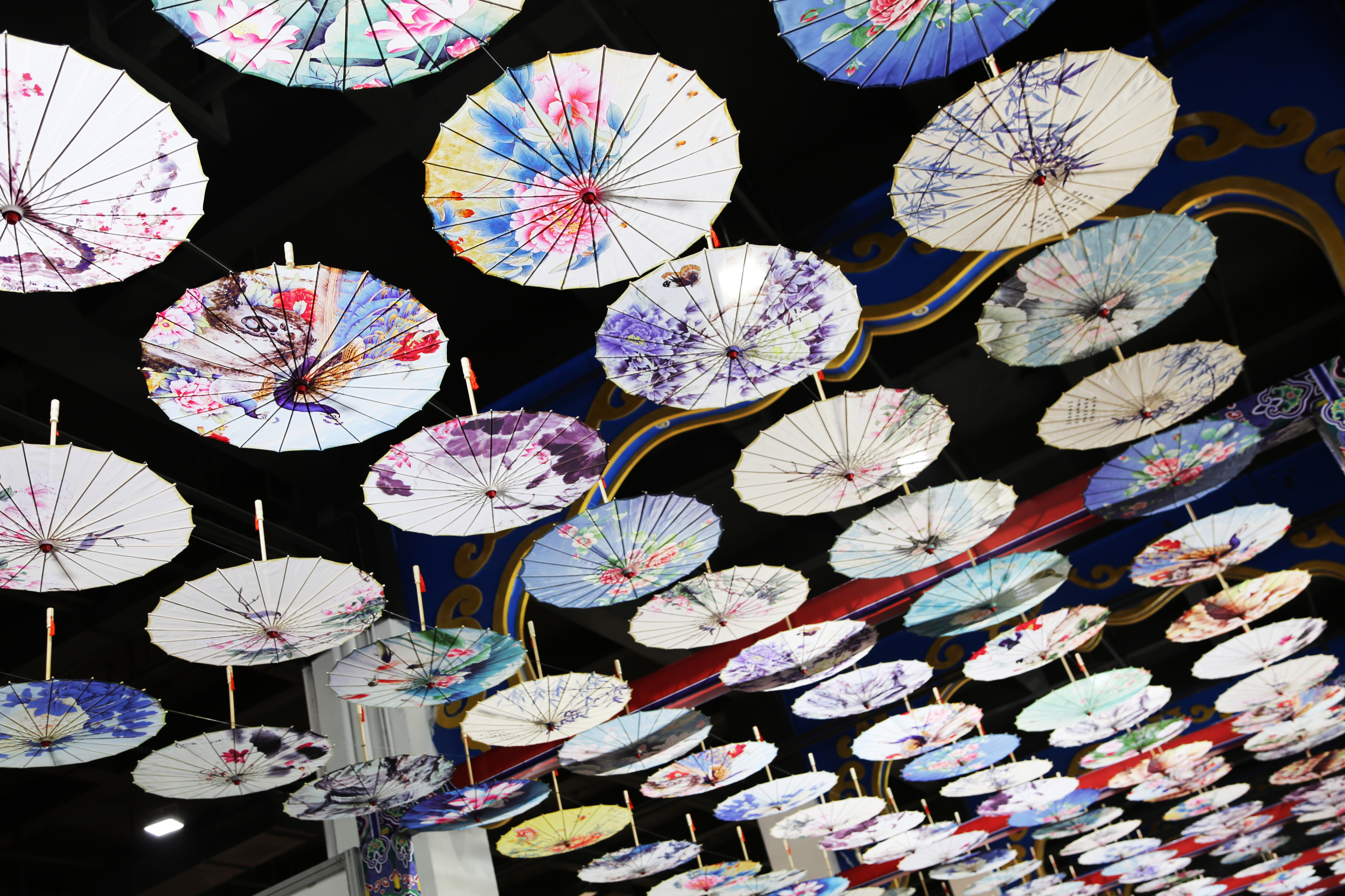 4x4x4x任意燥cjwico直播