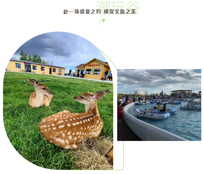 4x4x4x任意燥cjwico直播