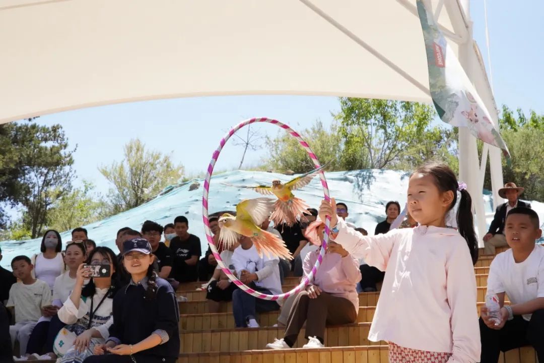 4x4x4x任意燥cjwico直播