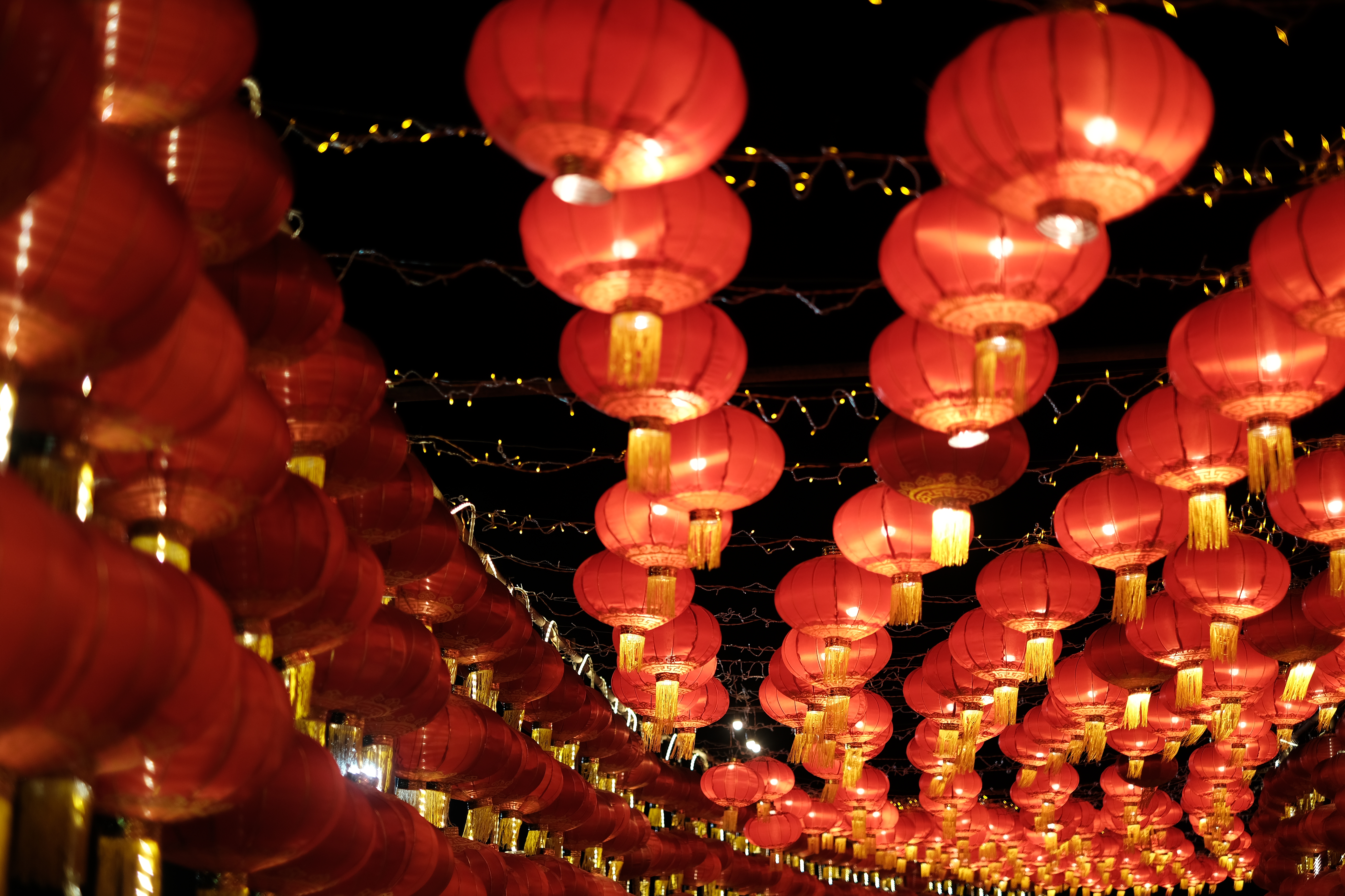 4x4x4x任意燥cjwico直播