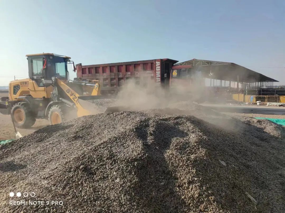 4x4x4x任意燥cjwico直播