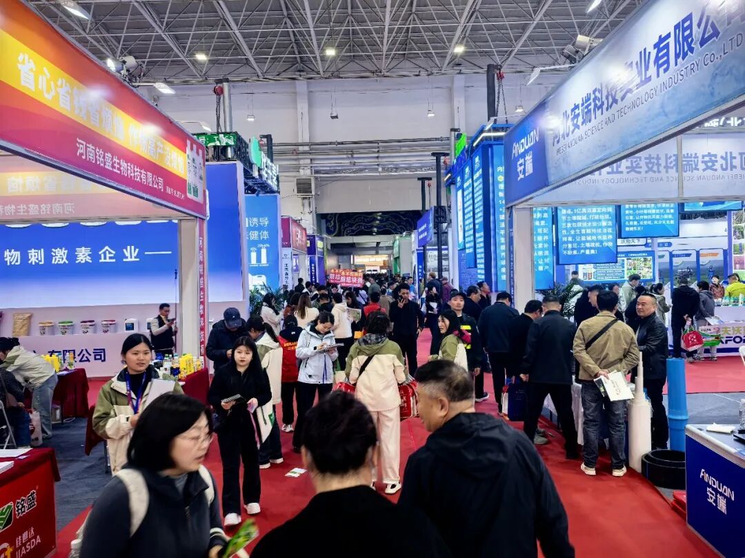 4x4x4x任意燥cjwico直播